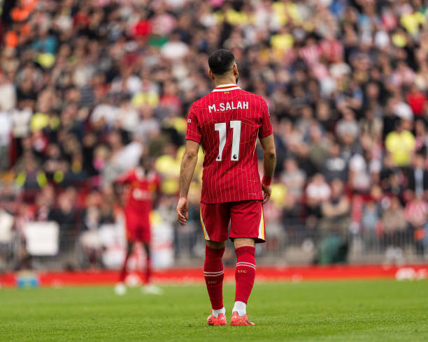 团队协作和 团队协作和