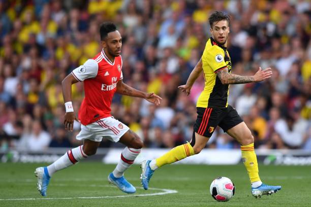 仅提高了自 仅提高了自